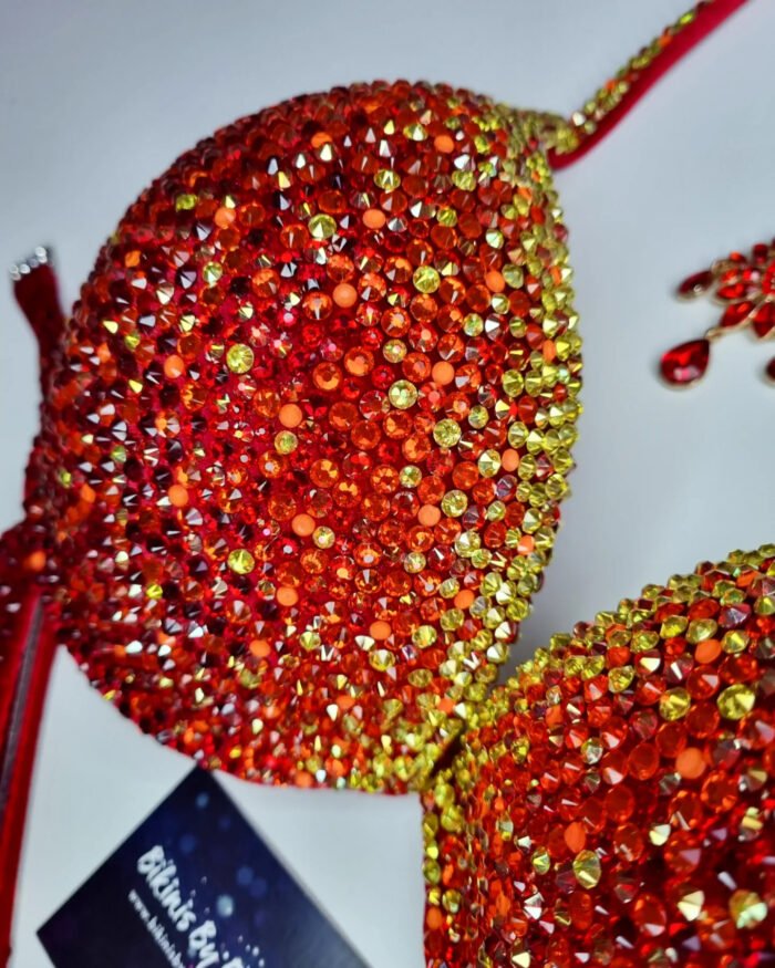 IMG_20221107_115522_000.jpg IMG_20221107_115522_000.jpg